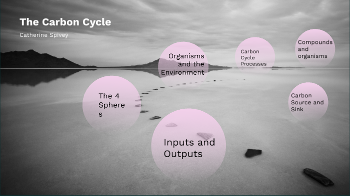 Carbon Cycle by Catherine Spivey on Prezi
