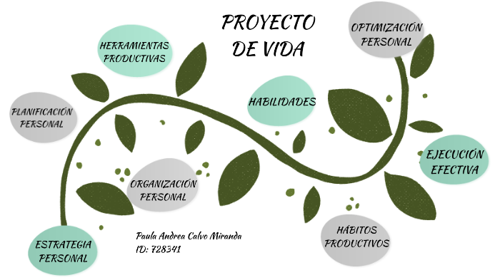 proyecto de vida by Paula Andrea CALVO MIRANDA on Prezi