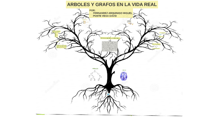 ARBOLES Y GRAFOS by Miguel Fernandez Arquinigo