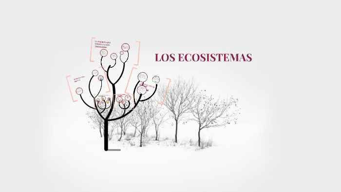 LOS ECOSISTEMAS by Sophia Fernandez on Prezi