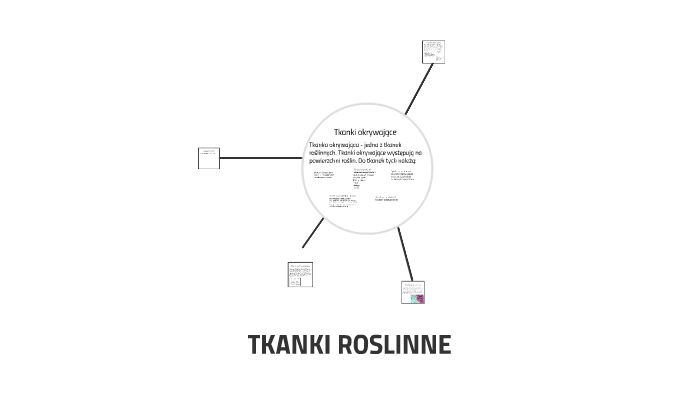 Tkanki Roslinne Liceum Sprawdzian Nowa Era TKANKI ROSLINNE by Ola kuczyńska on Prezi