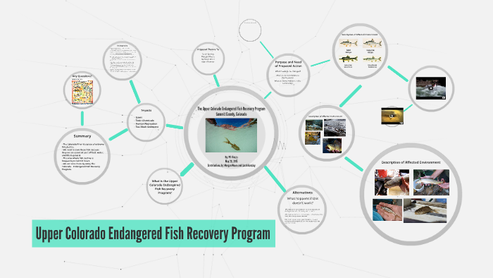 Upper Colorado Endangered Fish Recovery Program By PK Vincze On Prezi