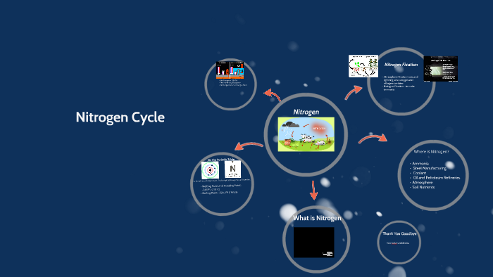 Nitrogen Cycle by KayLee Burgess on Prezi