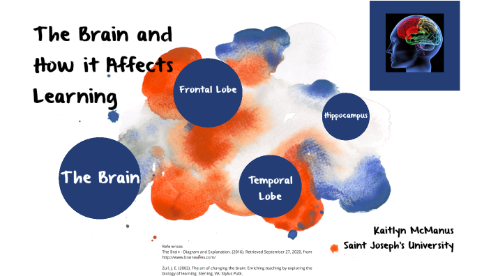 The Brain and Learning by Kaitlyn McManus on Prezi
