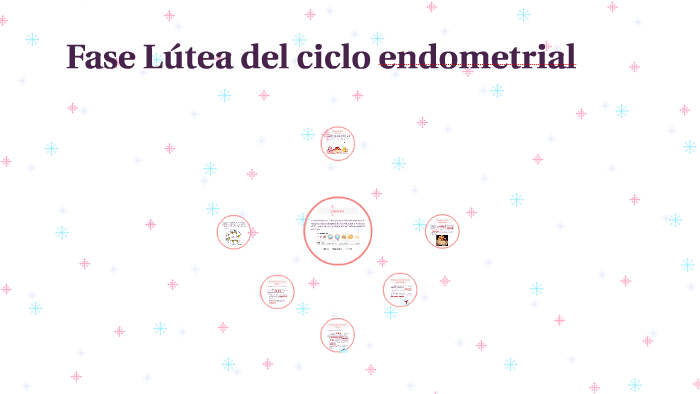 Fase endometrial del ciclo menstrual