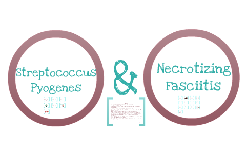 Streptococcus Pyogens and Necrotizing Fasciitis by Faith Calimlim on Prezi