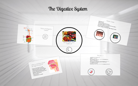 The Digestive System by on Prezi