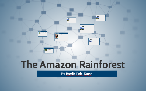 The Amazon Rainforest by Brodie Pola-Kuras on Prezi