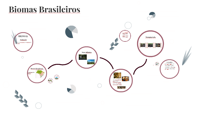 Biomas Brasileiros by Maria Eduarda Abreu on Prezi