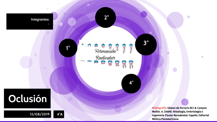 Formacion Radicular By Andrea Sanchez Ramirez On Prezi Next