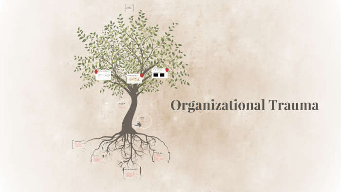 Organizational Trauma By Dan Rhoton