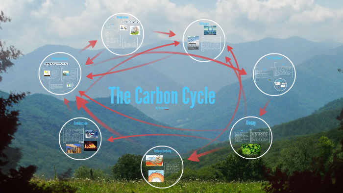 The Carbon Cycle by Helen I on Prezi