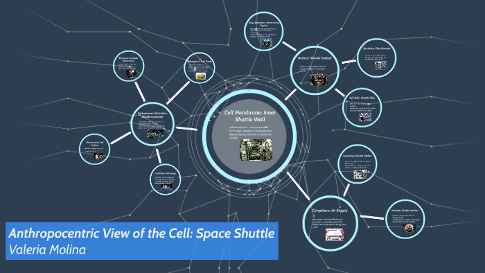 Anthropocentric View of the Cell: Space Shuttle by Vee M on Prezi