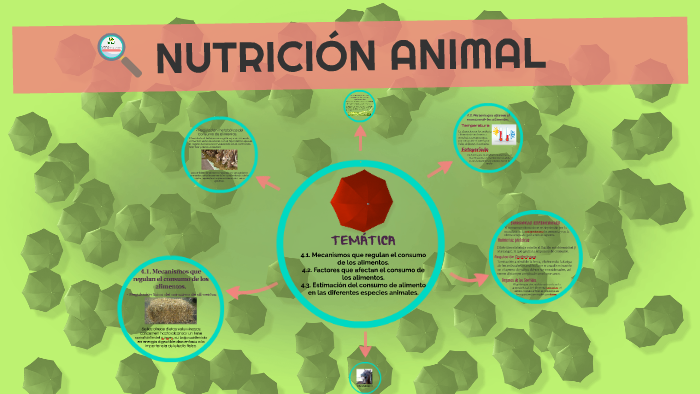 Mecanismos Que Regulan El Consumo De Los Alimentos En Animales