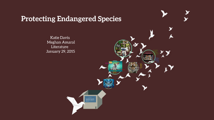 Protecting Endangered Species by katie davis on Prezi