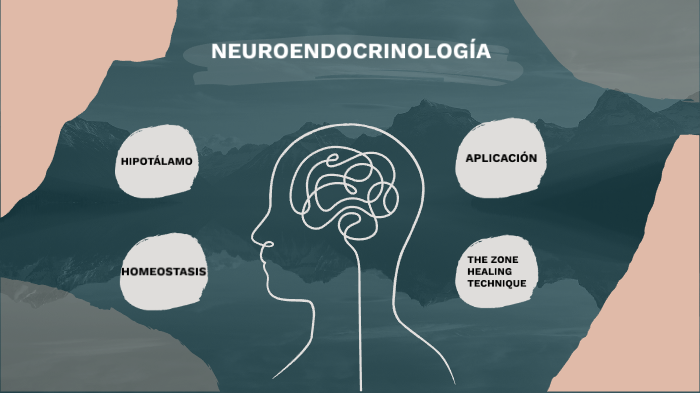 NEUROENDOCRINOLOGIA by Jony Pantoja on Prezi