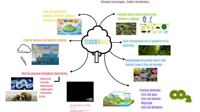 ECOSISTEMAS by Sofia Hernandez on Prezi