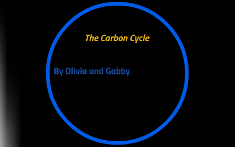 The Carbon Cycle by Olivia Williams on Prezi
