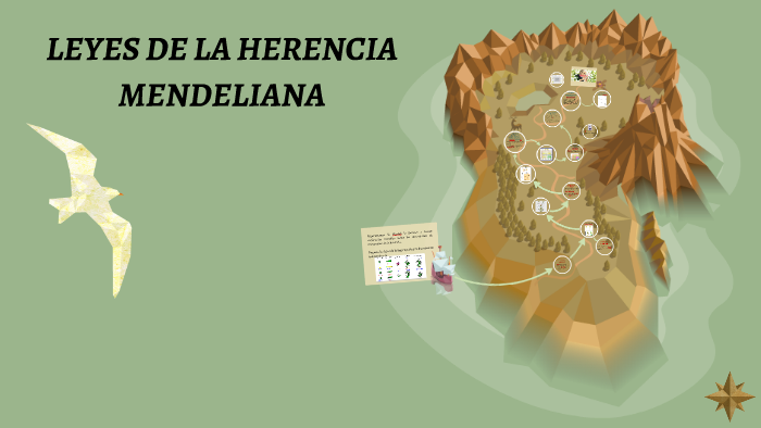 LEYES DE LA HERENCIA MENDELIANA By Gissela Morales On Prezi