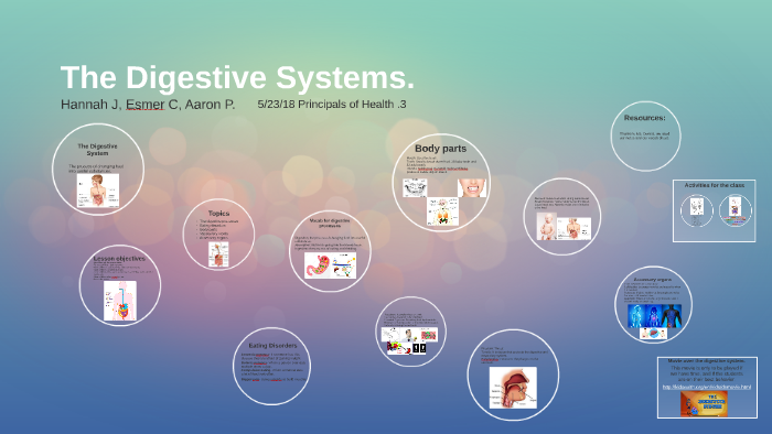 The Digestive System by Hannah Jackson on Prezi