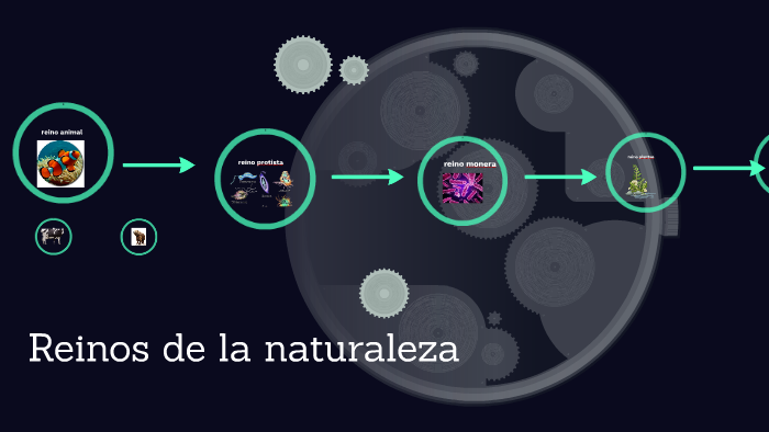 Reinos de la naturaleza by paola morales on Prezi