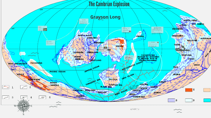 The Cambrian Explosion by Grayson Long