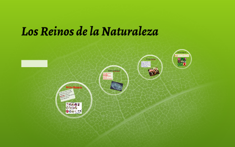 Los Reinos de la Naturaleza by celia corzo on Prezi