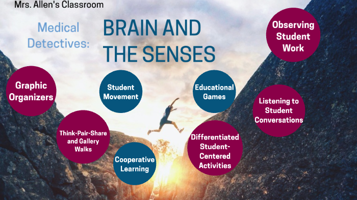 Brain and the Senses Learning Strategies by Megan Allen on Prezi