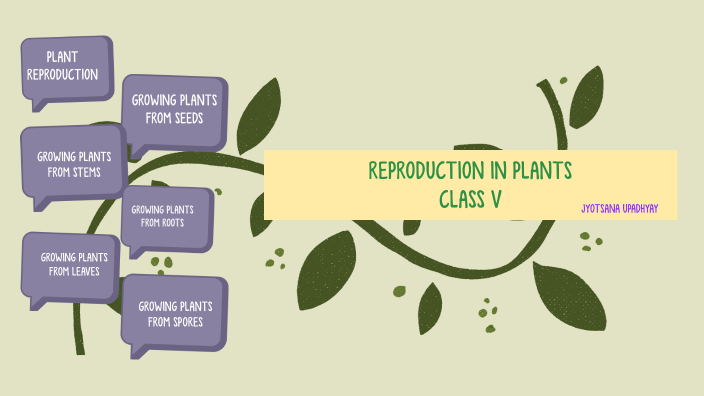 Reproduction In Plants By Jyotsana Upadhyay