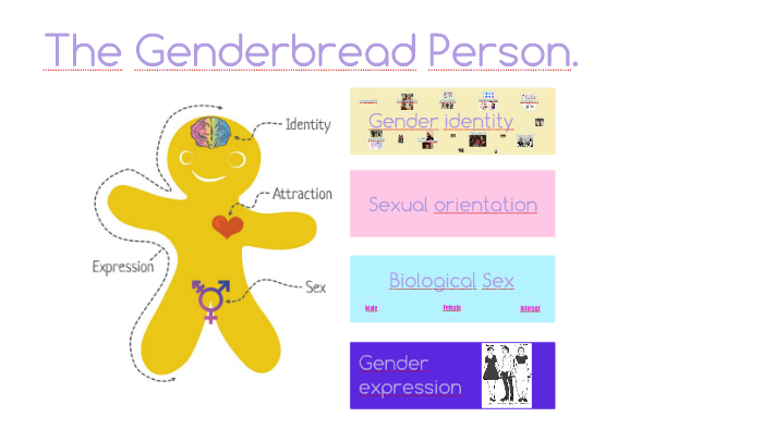 The Genderbread Person By Silvia Vera On Prezi