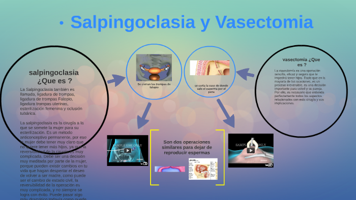 En Que Consiste La Vasectomia Y La Salpingoclasia prezi.com