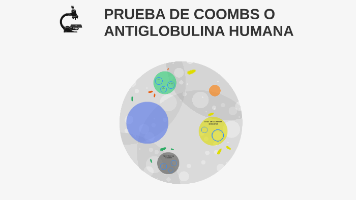 Test de coombs directo