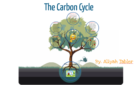The Carbon Cycle by aliyah tabler on Prezi