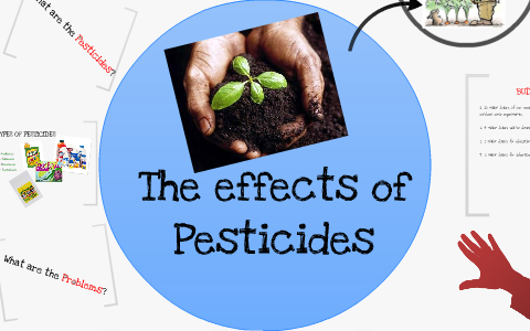 The problems of pesticides by Hee Bum Roh