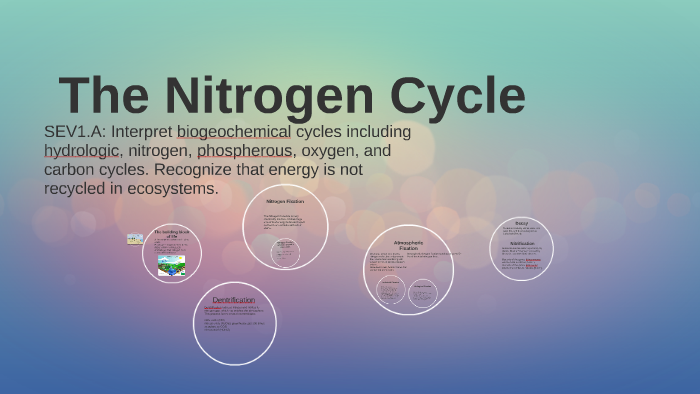 The Nitrogen Cycle by cedric harris on Prezi
