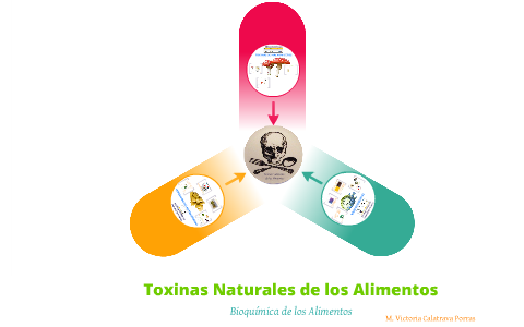 completar activación huevo Toxinas Naturales de los Alimentos by M. Victoria Calatrava on Prezi Next