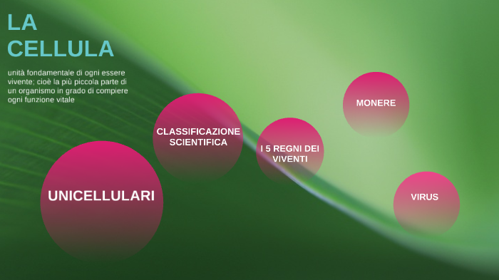 La cellula by Elisa Terrazzino on Prezi