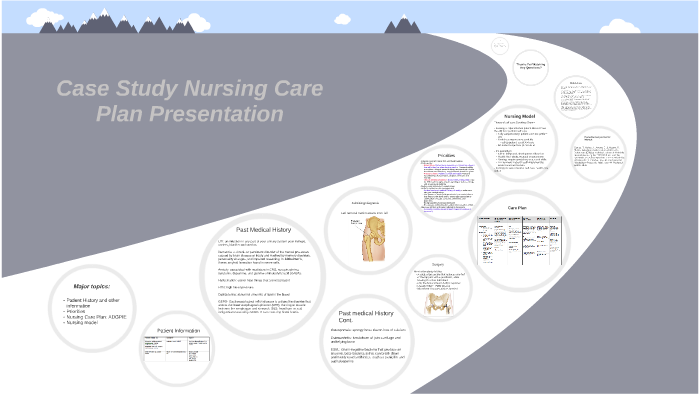 Nursing Care Plan 308 by Fei Wei on Prezi