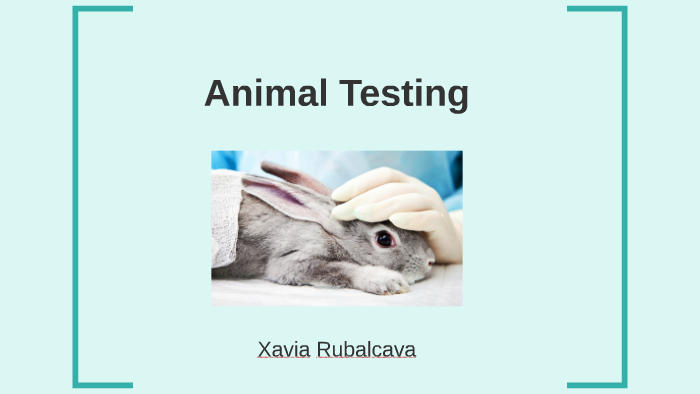 persuasive speech animal testing