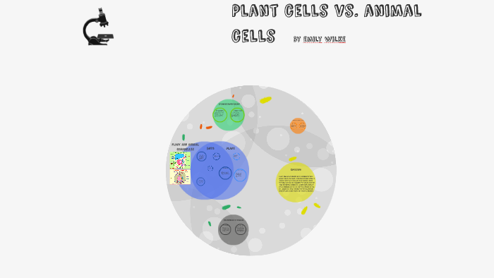 Plant cells vs. animal cells by Emily Schreavios on Prezi