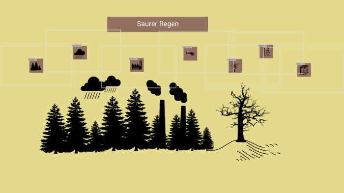 Saurer Regen By Collin Haller