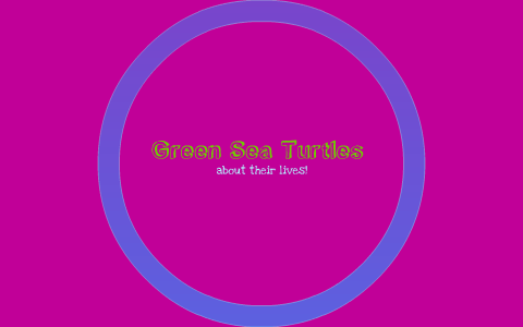 Green Sea Turtles by Kaelyn Marzolf on Prezi