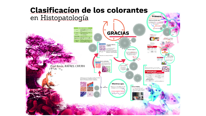 Clasificacion De Los Colorantes En Microbiologia prezi.com
