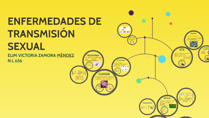 Ensayo De Las Enfermedades De Transmision Sexual prezi.com