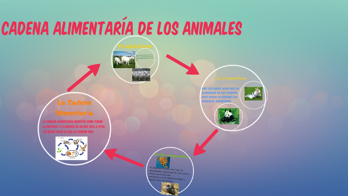 Cadena alimenticia de animales by Joaquin Ariel Sanchez