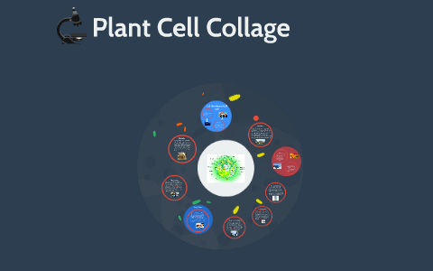 Plant Cell Collage by Yasin Elkanzi