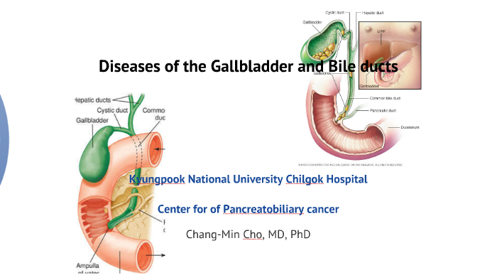 Diseases of GB and BD (revised) by Chang Min Cho