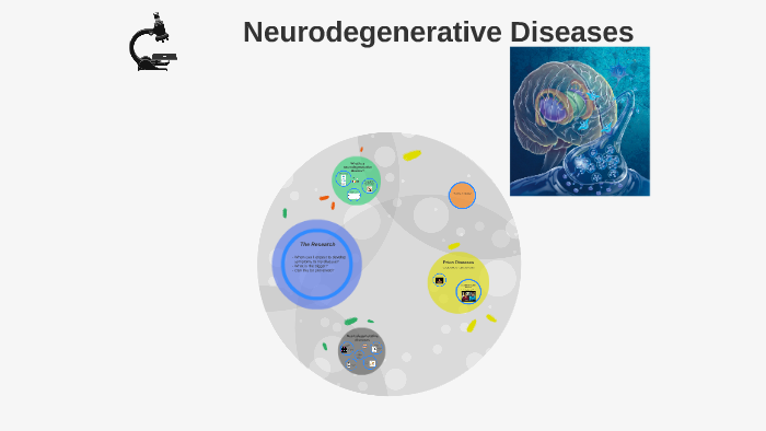 Mechanism of Cell Death in Neurodegenerative Diseases by lyndsey holan ...