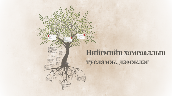 Нийгмийн хамгааллын тусламж, дэмжлэг by мөнхнасан монголжин