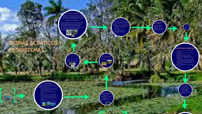 biomas by sara bustamante on Prezi